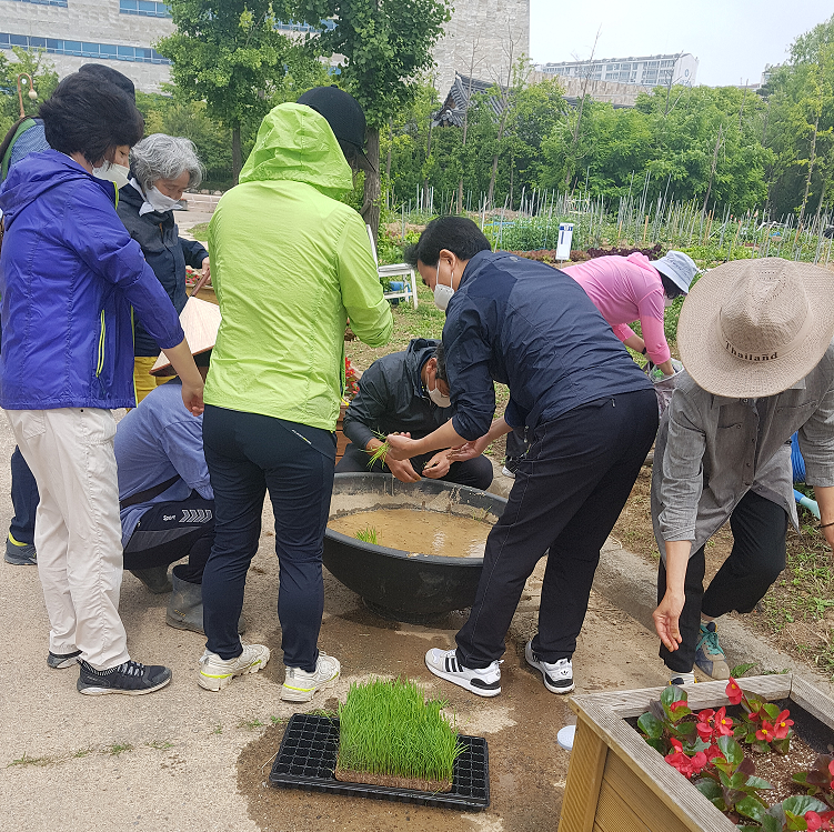 도시농업 갤러리 | 정보나눔터 | 도시농업한마당