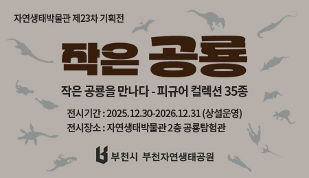 자연생태박물관 제23차 기획전 작은 공룡 작은 공룡을 만나다 - 피규어 컬렉션 35종 전시기간: 2025.12.30-2026.12.31 (상설운영) 전시장소: 자연생태박물관 2층 공룡탐험관 부천시 부천자연생태공원
